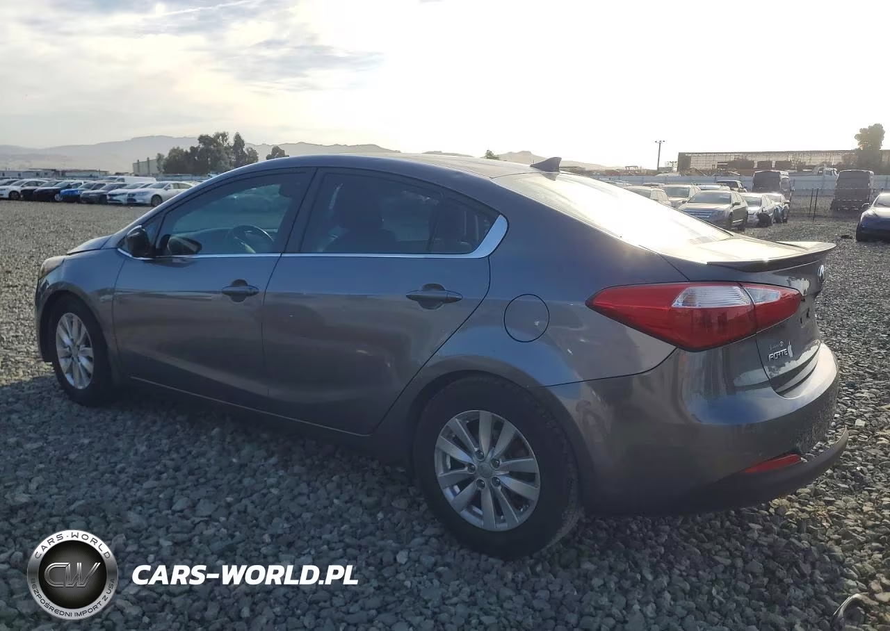 2014 Kia Forte Ex VIN:KNAFX4A85E5102385 - 2