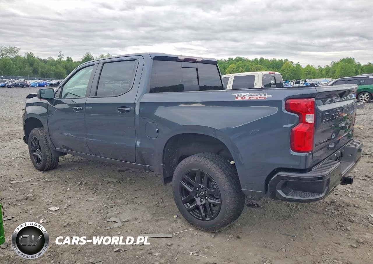 2021 Chevrolet Silverado K1500 Lt Trail Boss VIN:1GCPYFED9MZ349438 - 2
