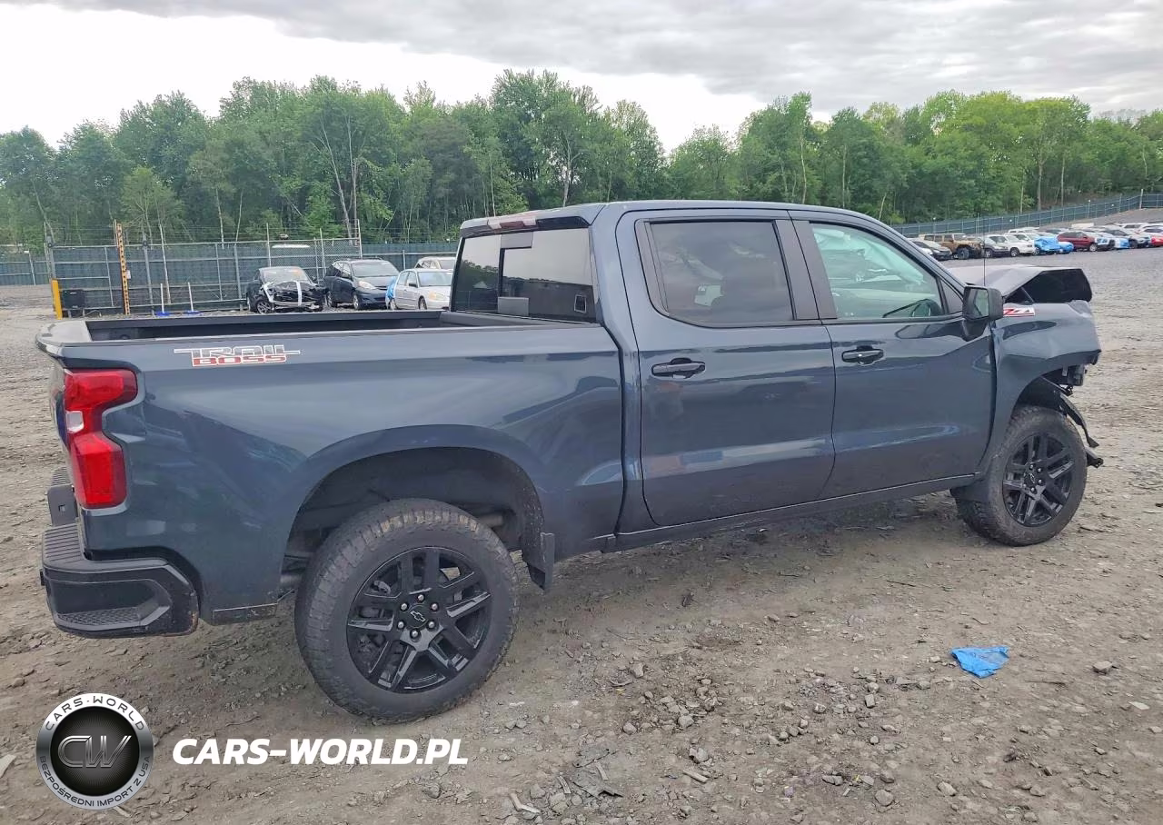 2021 Chevrolet Silverado K1500 Lt Trail Boss VIN:1GCPYFED9MZ349438 - 3