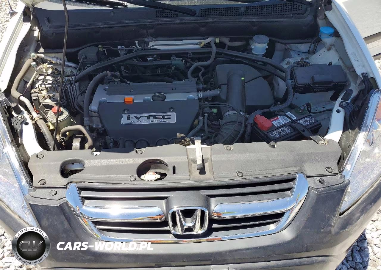 2004 Honda Cr-V Ex VIN:JHLRD788X4C009861 - 11