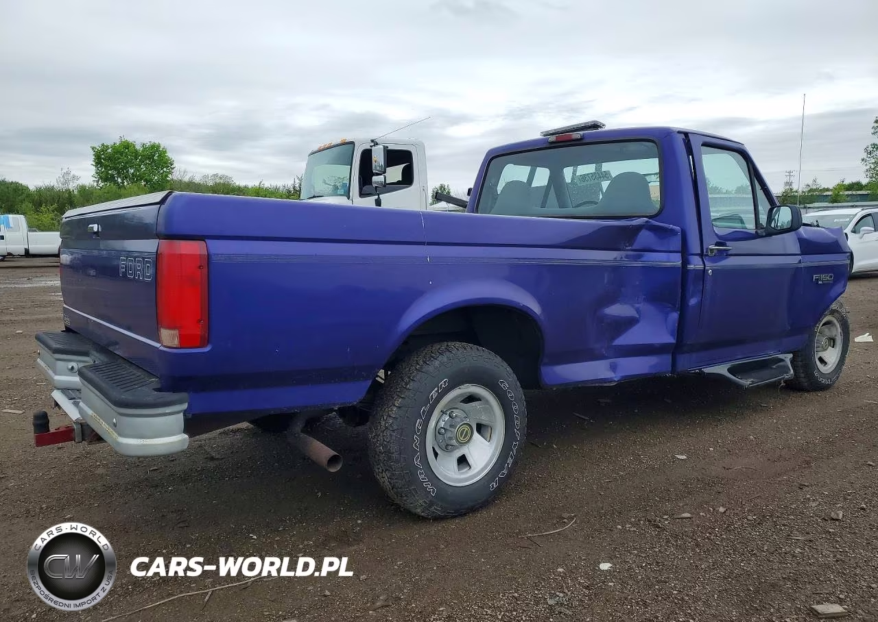 1995 Ford F150 VIN:1FTEF15N6SLB83341 - 3