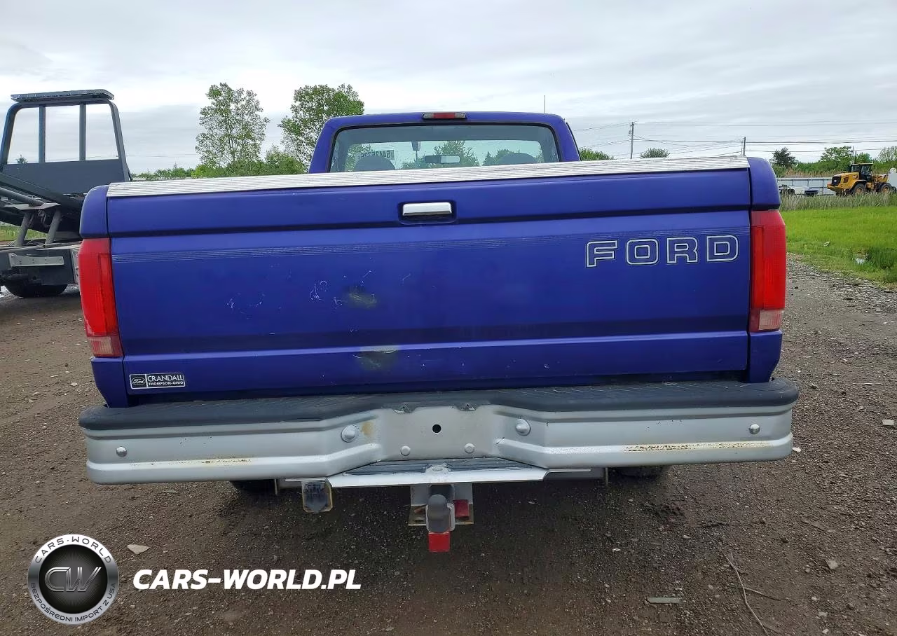 1995 Ford F150 VIN:1FTEF15N6SLB83341 - 6