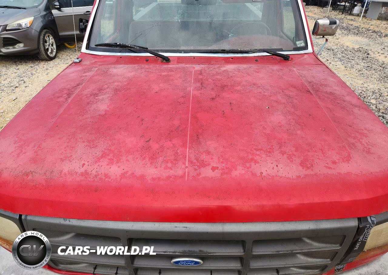 1995 Ford F150 VIN:1FTDF15Y2SNA52935 - 11