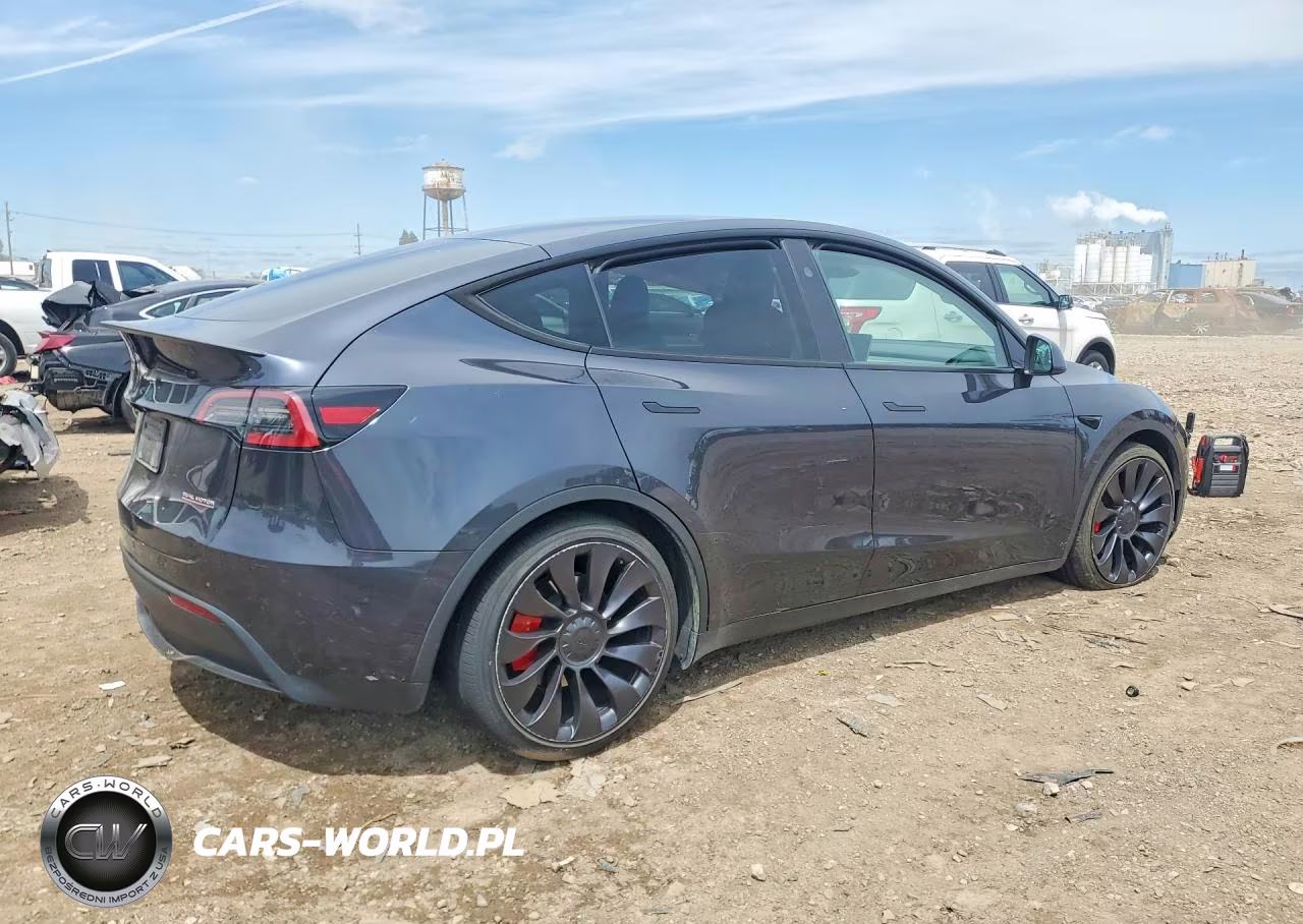 2024 Tesla Model Y VIN:7SAYGDEFXRA278454 - 3