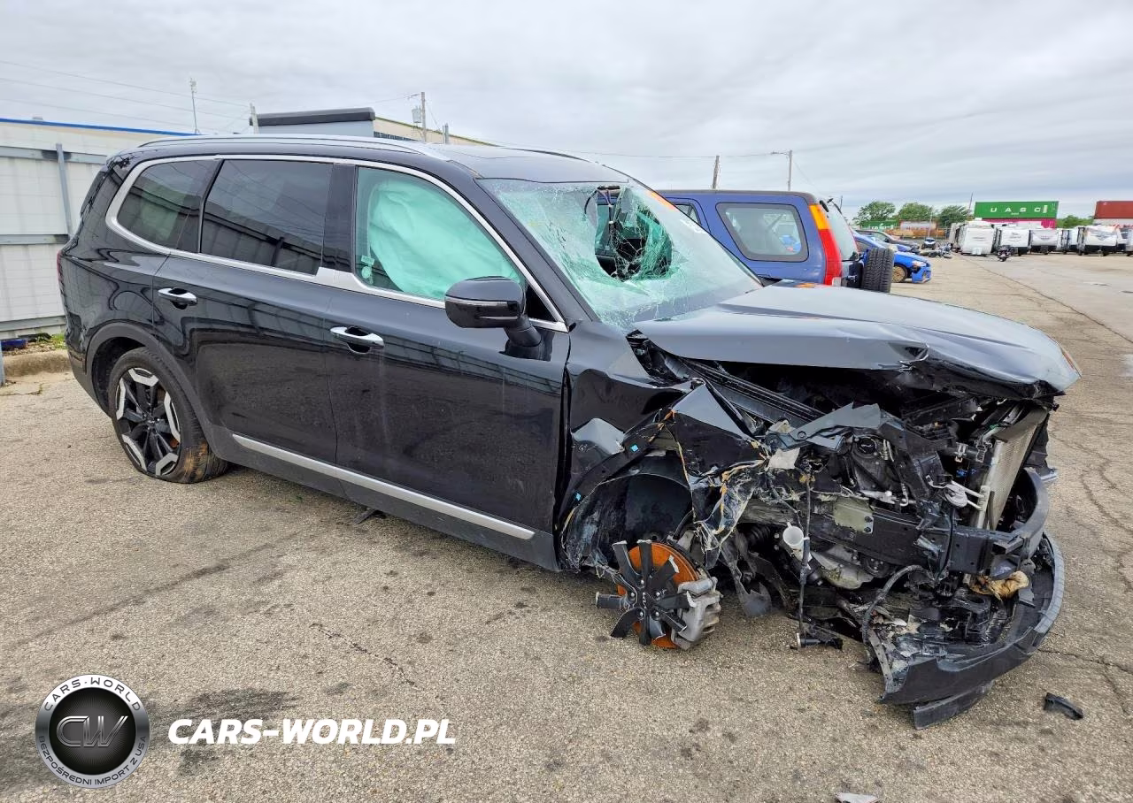 2025 Kia Telluride S VIN:5XYP64GC1SG629414 - 4