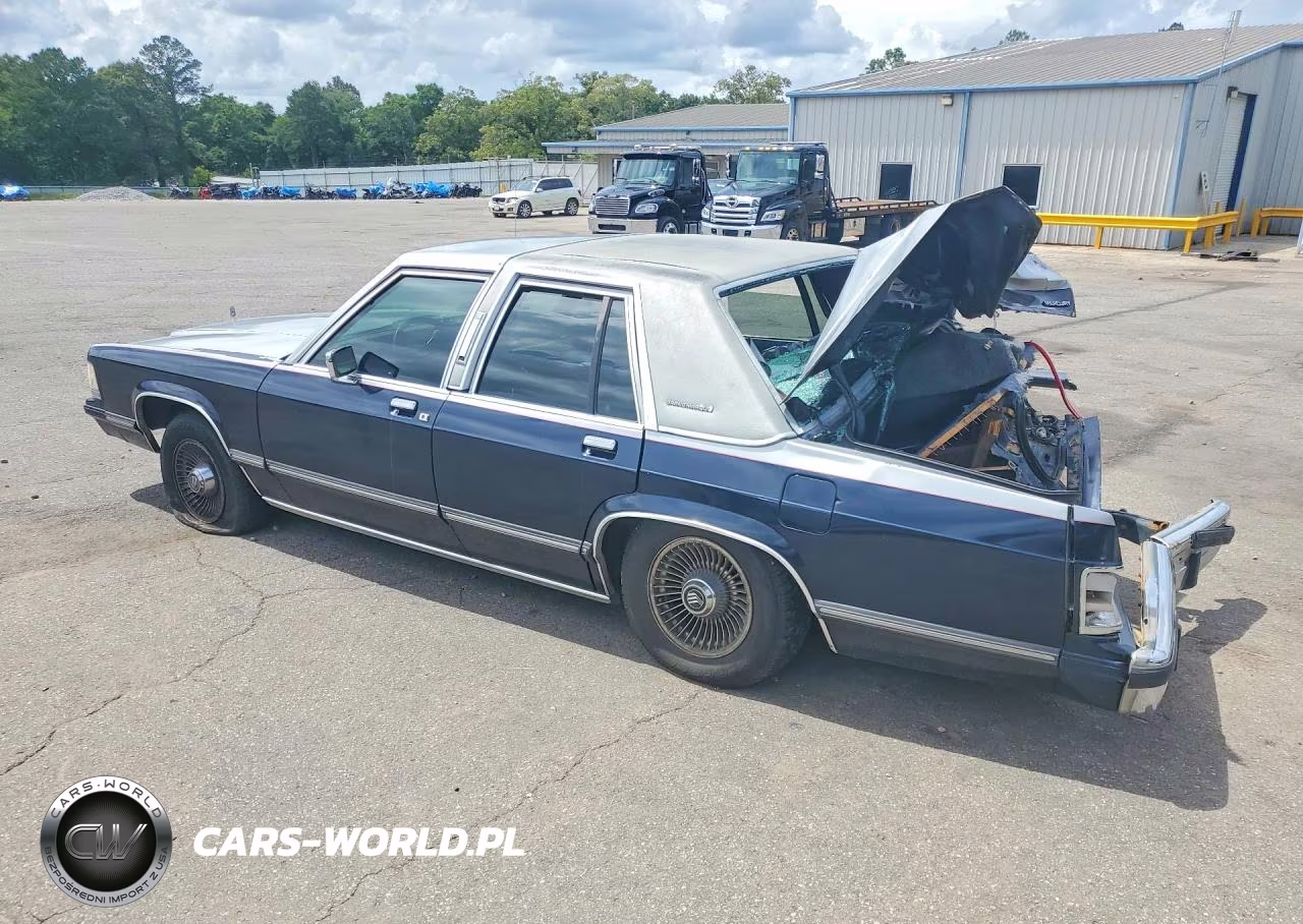 1991 Mercury Grand Marquis Ls VIN:2MECM75FXMX650032 - 2