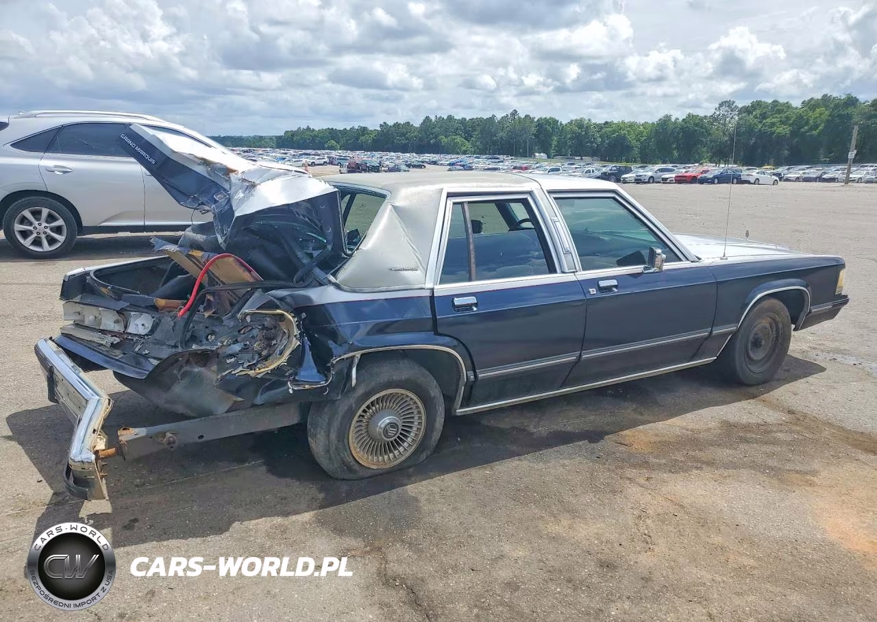1991 Mercury Grand Marquis Ls VIN:2MECM75FXMX650032 - 3