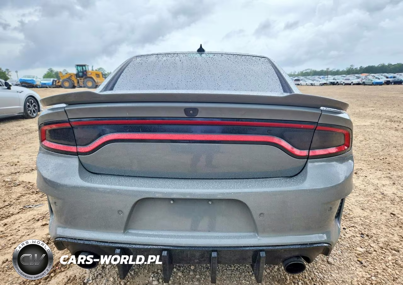 2019 Dodge Charger Srt Hellcat VIN:2C3CDXL91KH518626 - 6