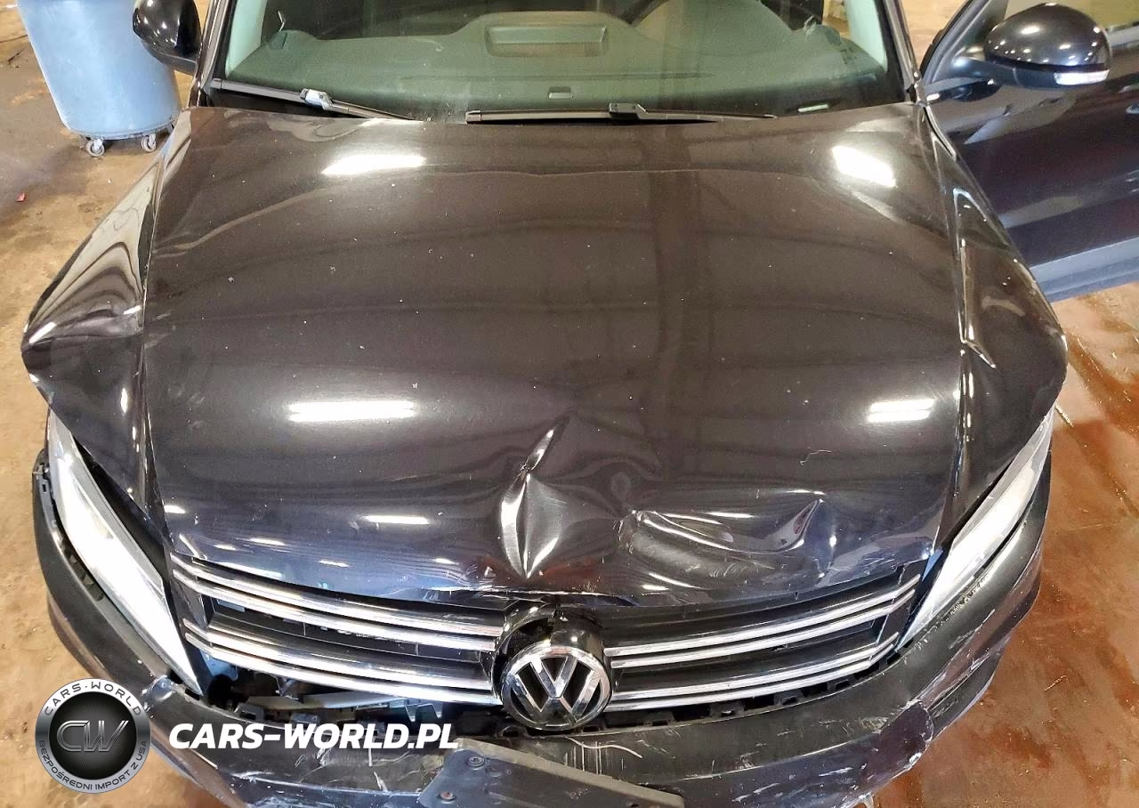 2014 Volkswagen Tiguan S VIN:WVGAV3AX1EW601405 - 12