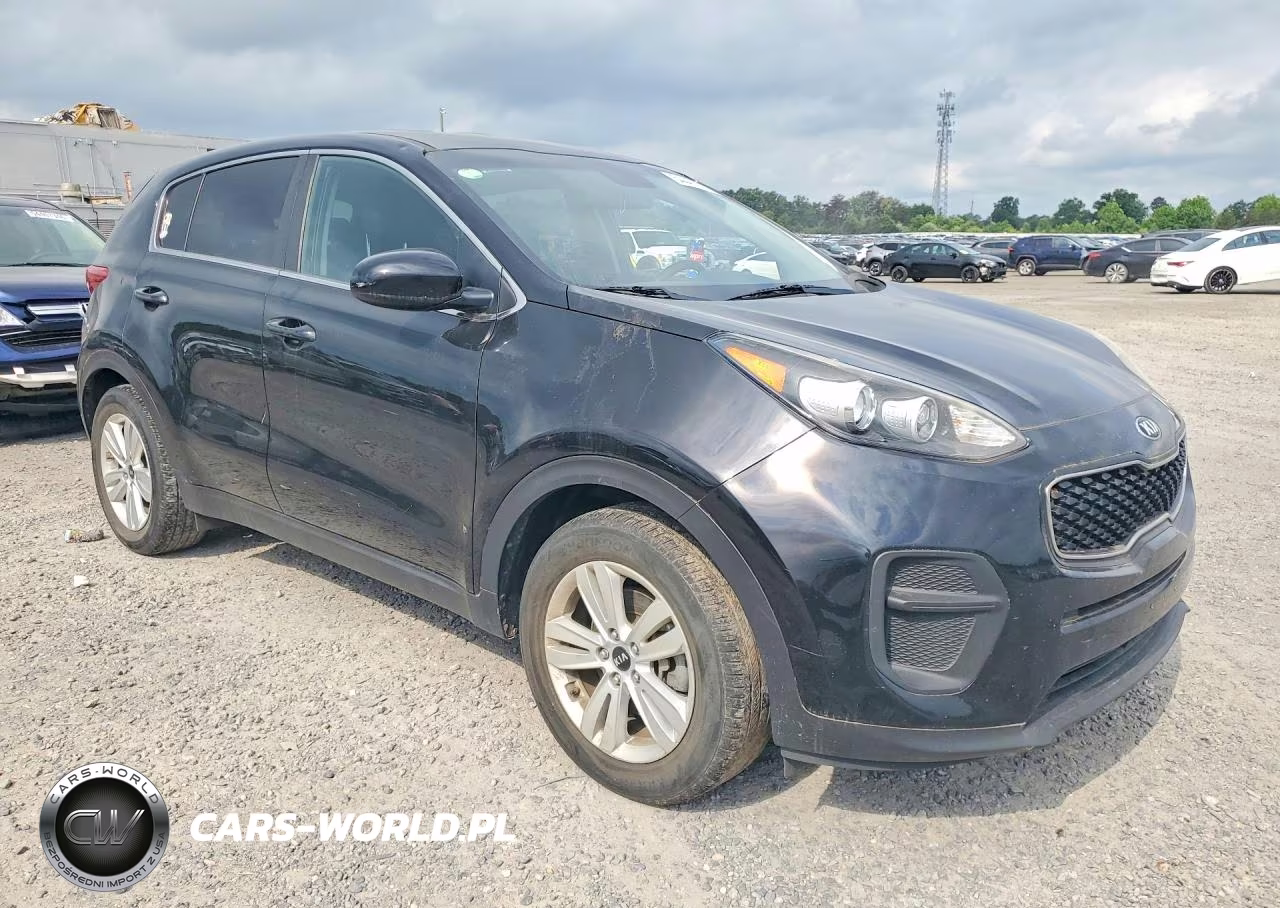 2017 Kia Sportage Lx VIN:KNDPM3AC0H7206032 - 4