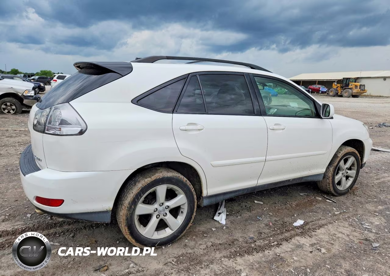 2004 Lexus Rx 330 VIN:JTHJA31UX40003638 - 3