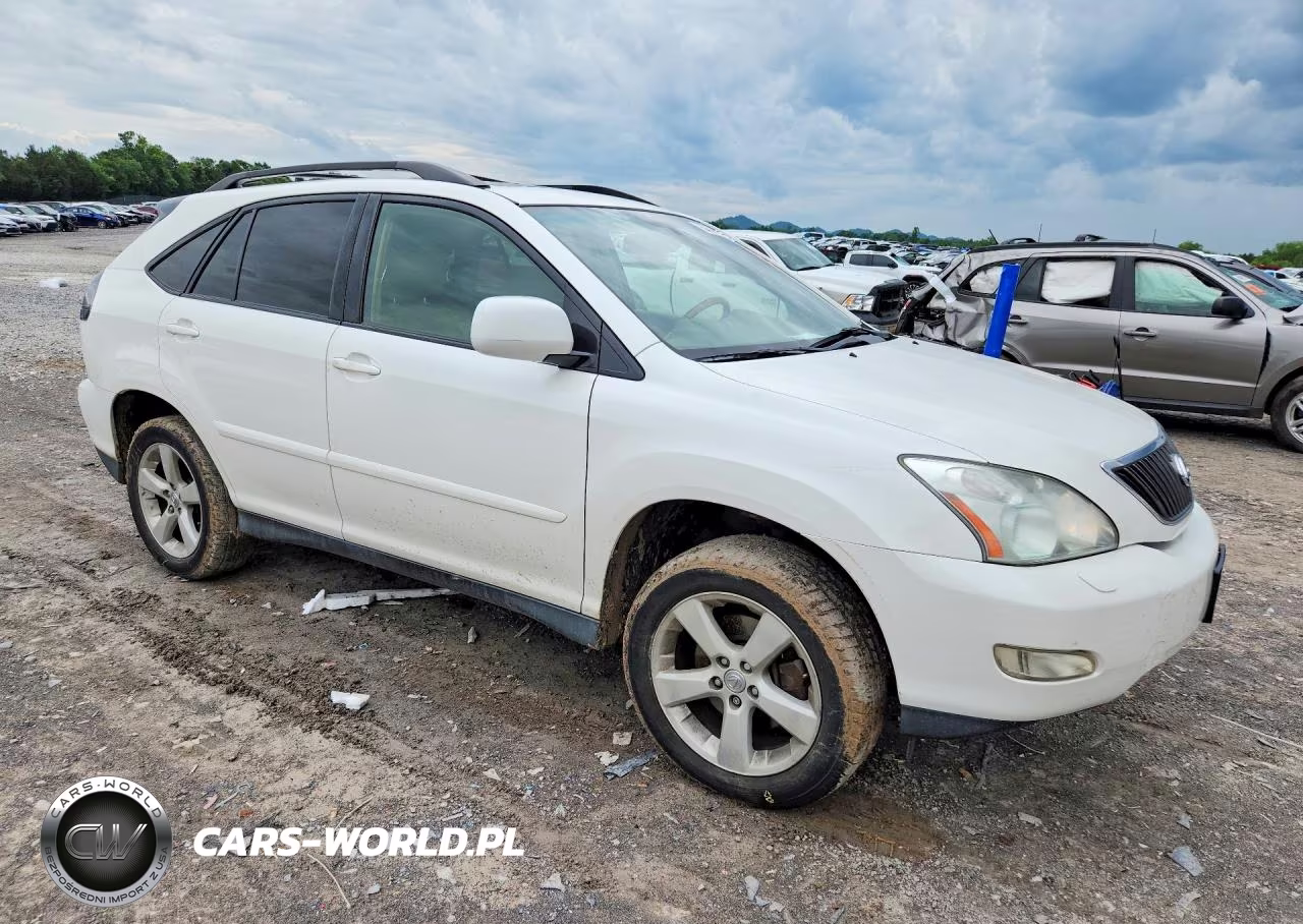 2004 Lexus Rx 330 VIN:JTHJA31UX40003638 - 4