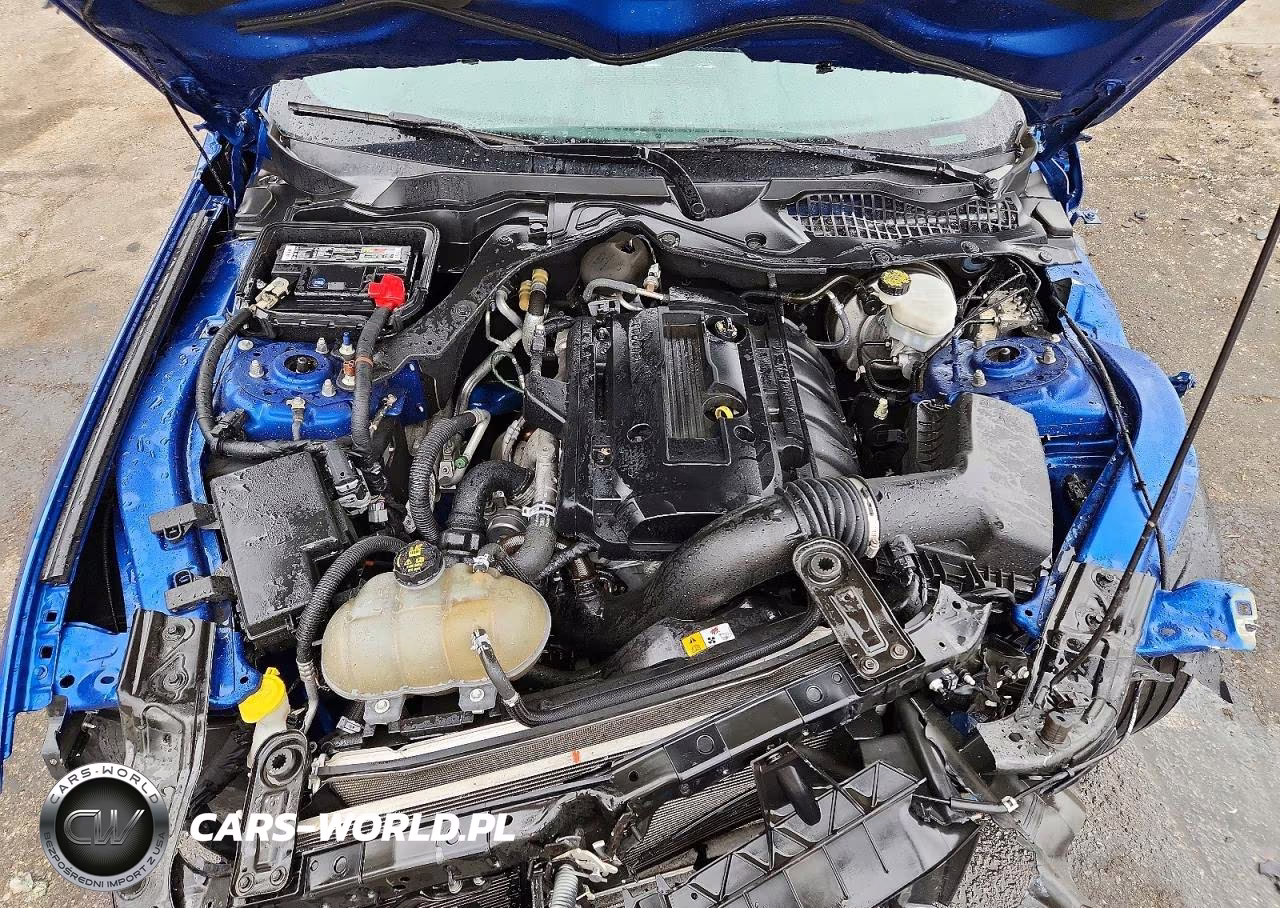 2018 Ford Mustang VIN:1FA6P8TH6J5117467 - 11
