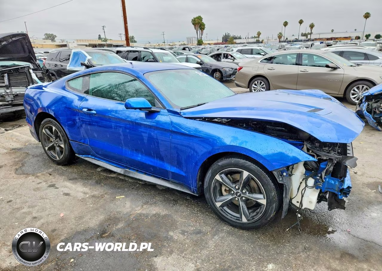 2018 Ford Mustang VIN:1FA6P8TH6J5117467 - 4