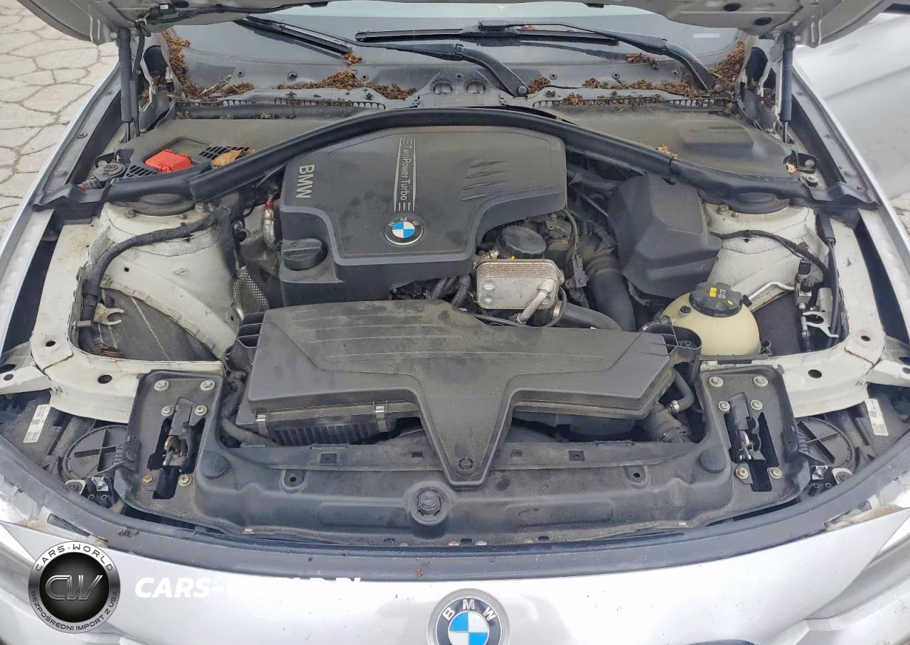 2014 BMW 320 I xDrive VIN:WBA3C3C59EP662099 - 11