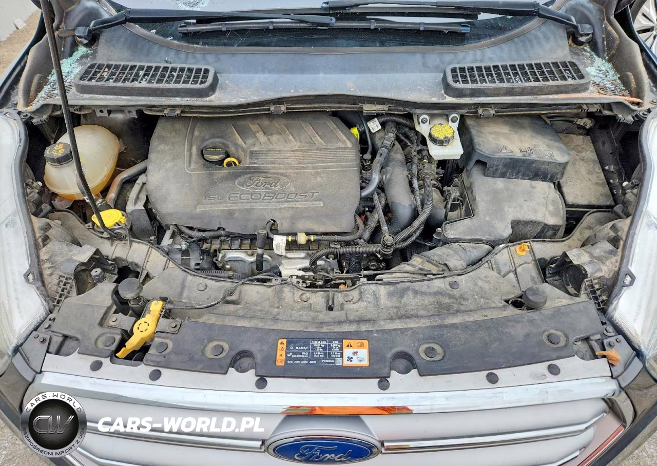 2017 Ford Escape Se VIN:1FMCU0GD0HUB79912 - 12
