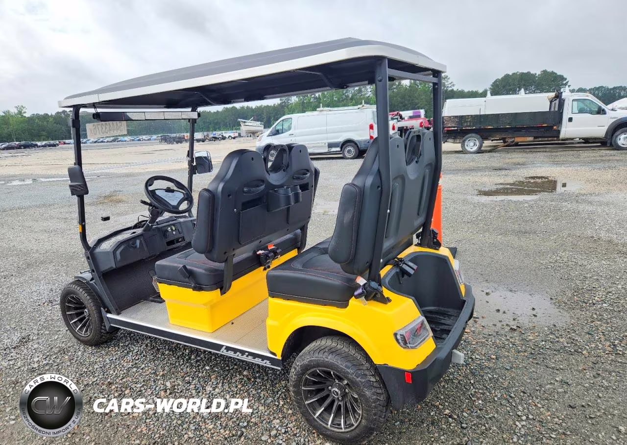 2025 Advanced Ev Lt-B827.4 Golf Cart VIN:7LWAD2T41S2188106 - 3