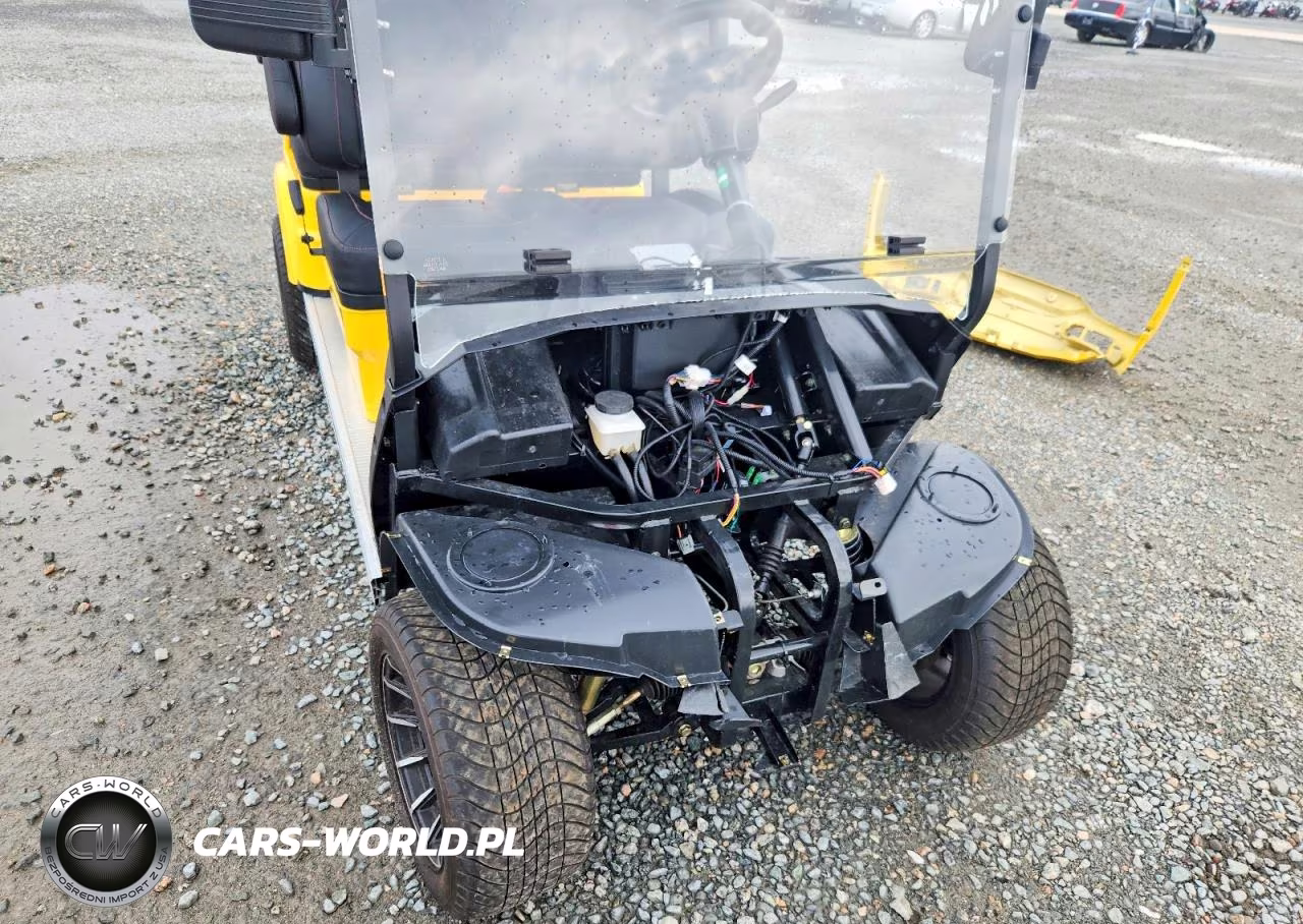 2025 Advanced Ev Lt-B827.4 Golf Cart VIN:7LWAD2T41S2188106 - 9