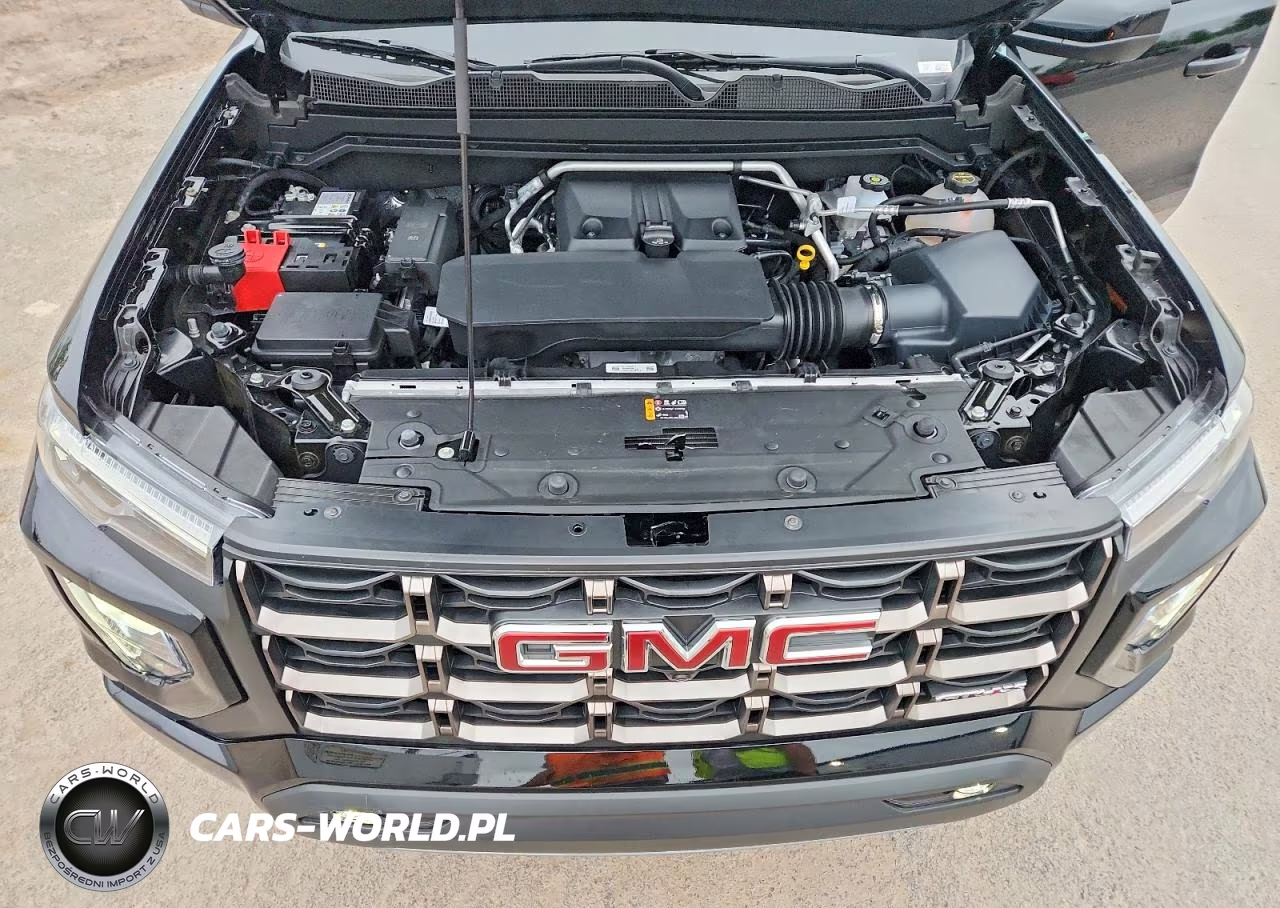 2025 GMC Canyon At4 VIN:1GTP2DEK1S1228953 - 11