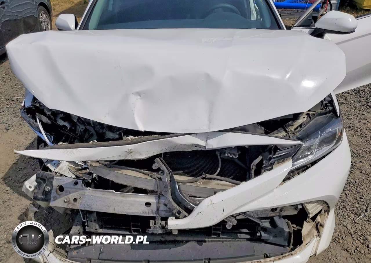 2019 Toyota Camry Le VIN:4T1B31HK3KU005101 - 11