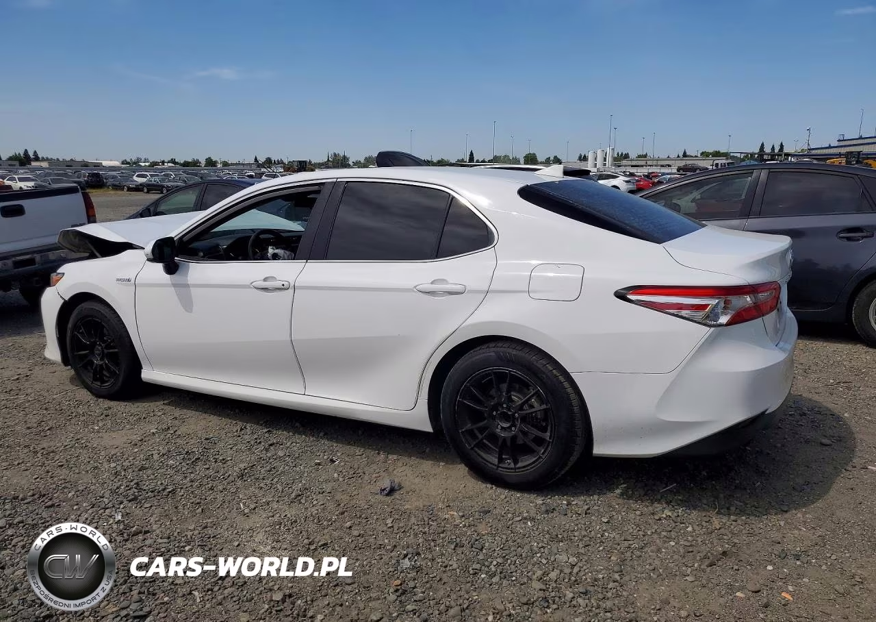 2019 Toyota Camry Le VIN:4T1B31HK3KU005101 - 2