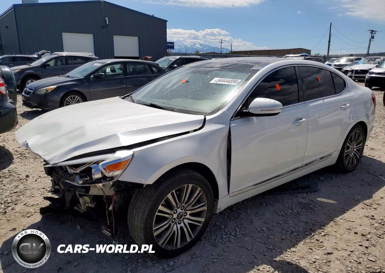 2014 Kia Cadenza Premium