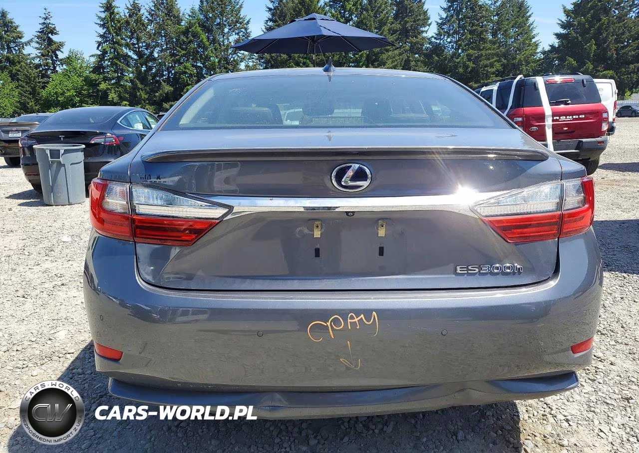 2018 Lexus Es 300H VIN:JTHBW1GGXJ2169379 - 6