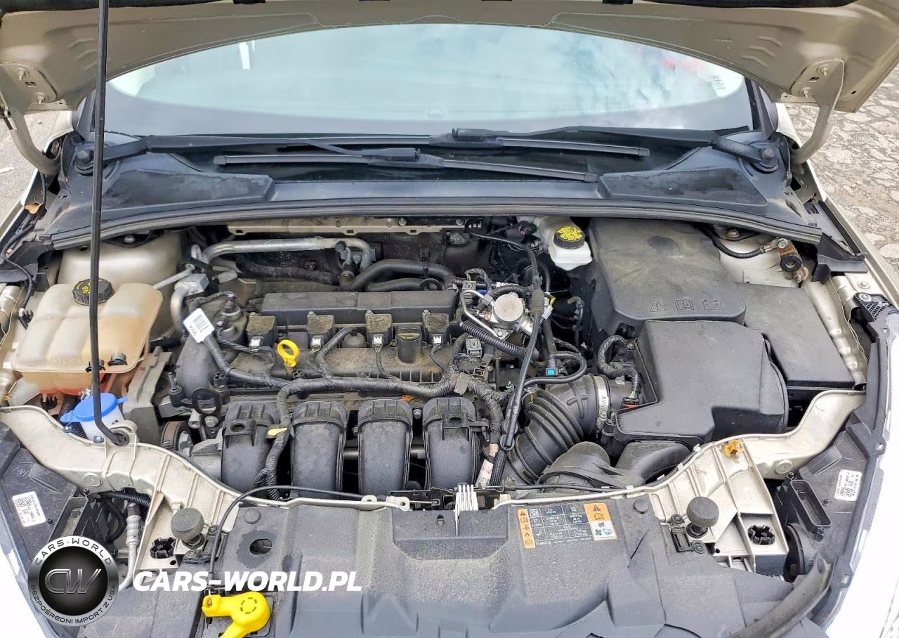 2018 Ford Focus Se VIN:1FADP3F23JL209097 - 11