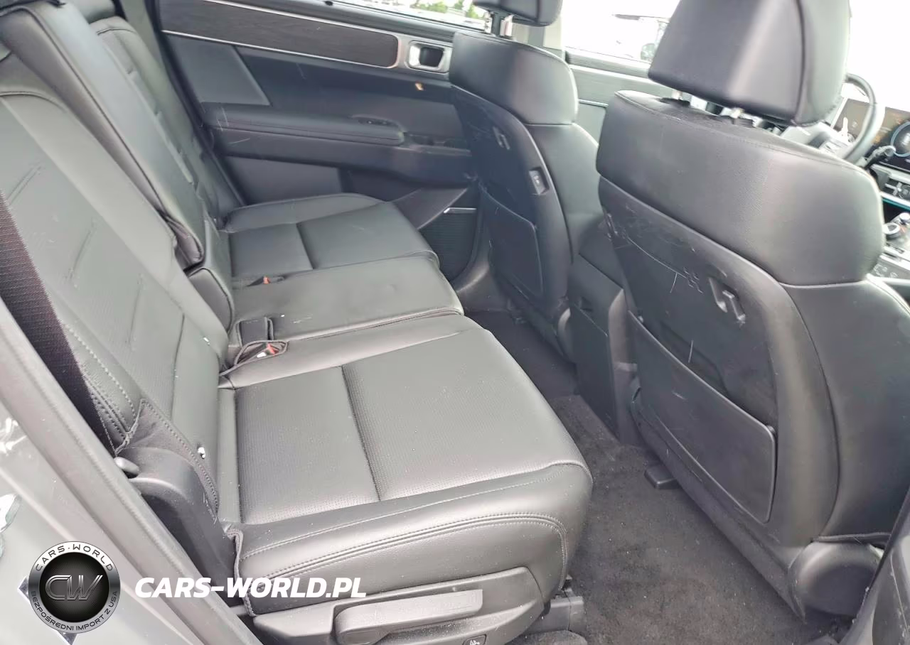 2024 Hyundai Santa Fe Limited VIN:5NMP34G14RH001998 - 10