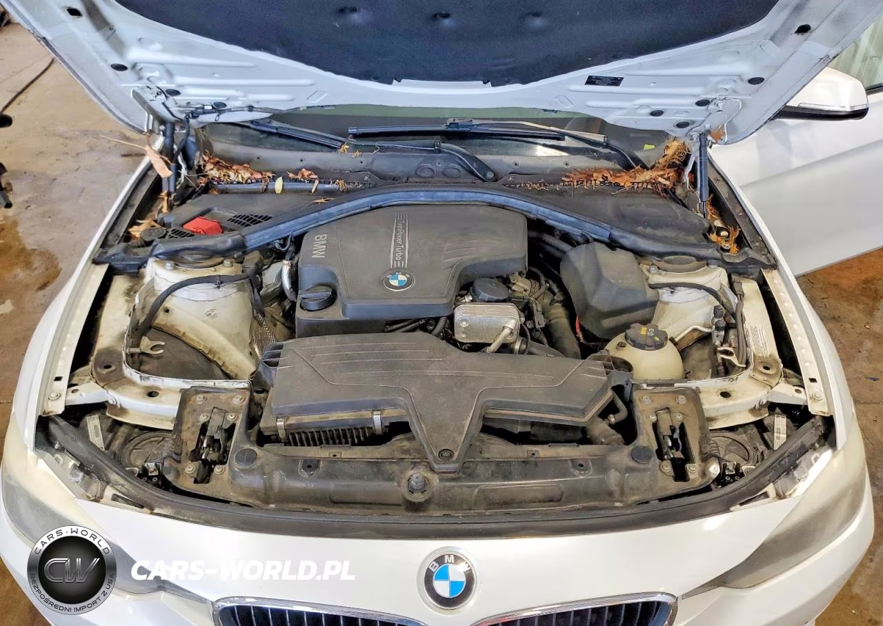2015 BMW 320 I VIN:WBA3B1G54FNT02298 - 11