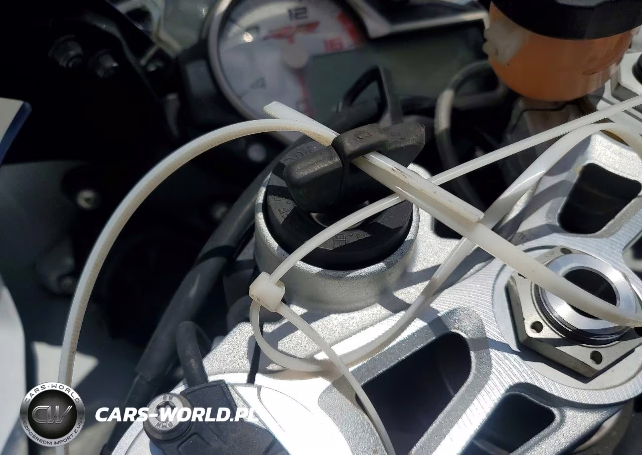 BMW S 1000 RR VIN:WB10D6000JZ711490 - 8