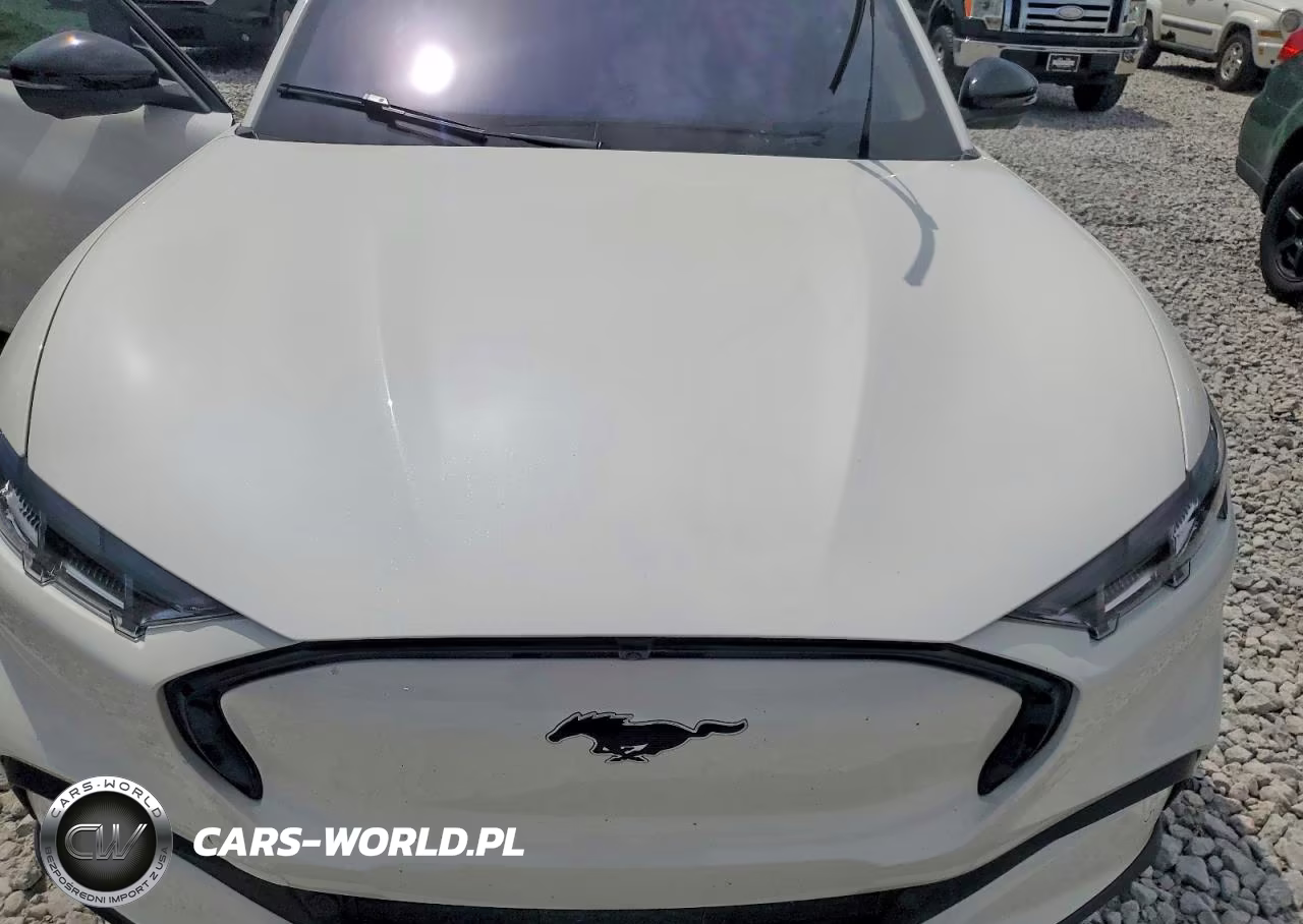 2025 Ford Mustang Mach-E Premium VIN:3FMTK3SU5SMA15341 - 12