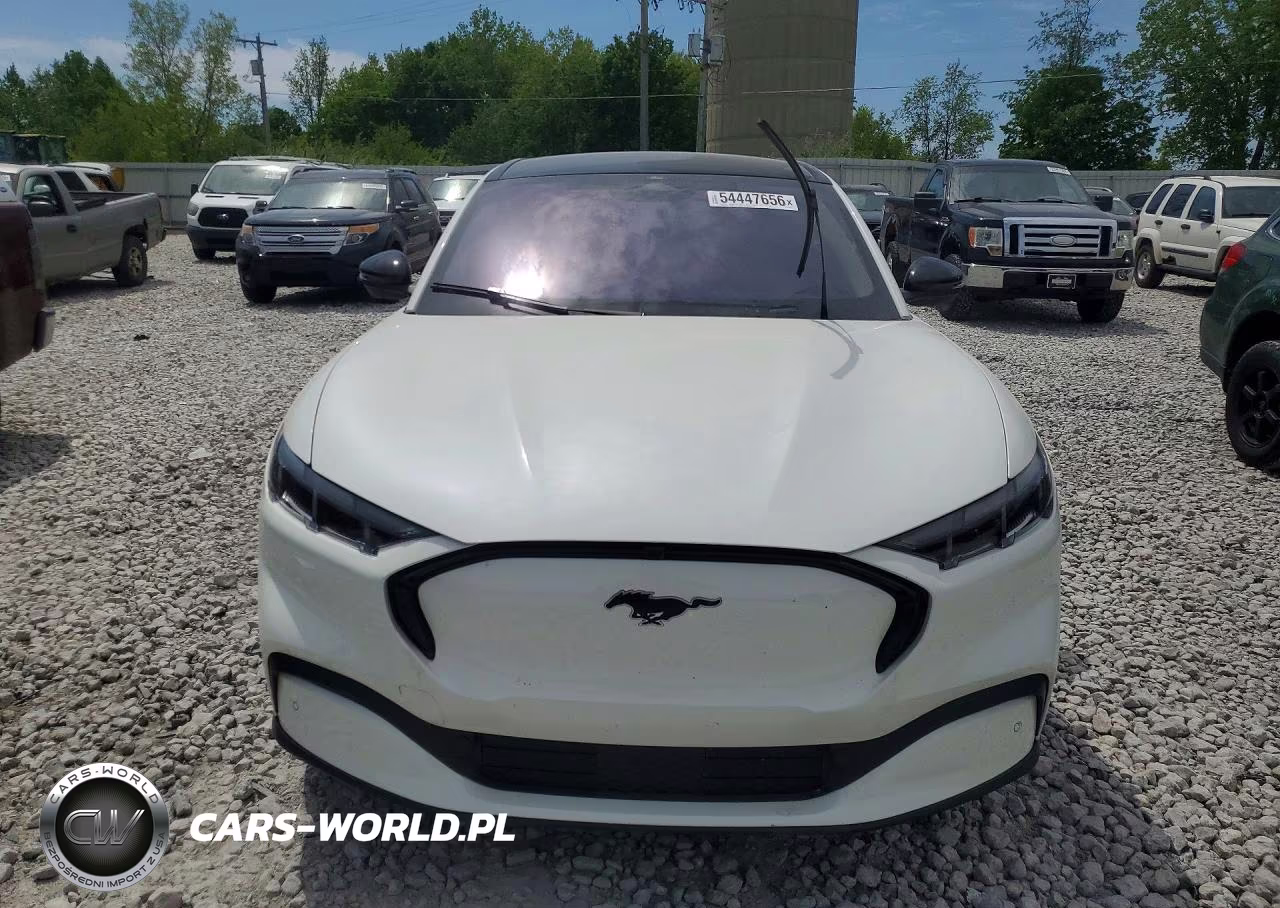 2025 Ford Mustang Mach-E Premium VIN:3FMTK3SU5SMA15341 - 5