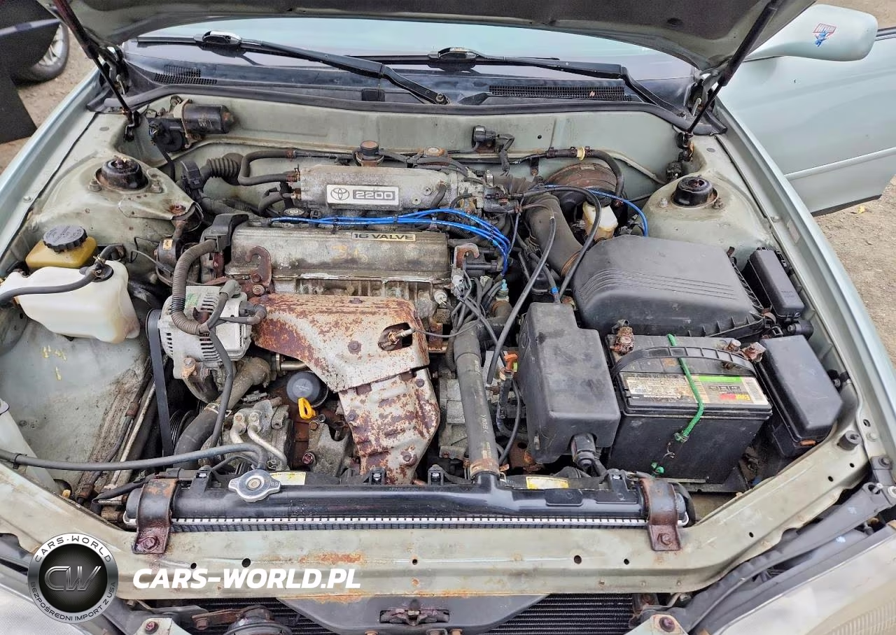 1995 Toyota Camry Le VIN:4T1SK12E7SU602886 - 11