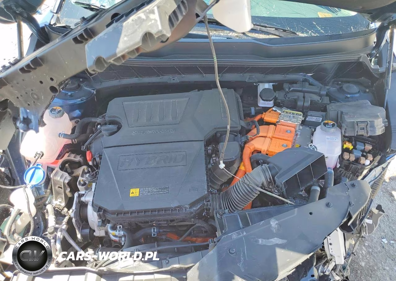 2025 Kia Niro Ex VIN:KNDCR3LE0S5306956 - 11