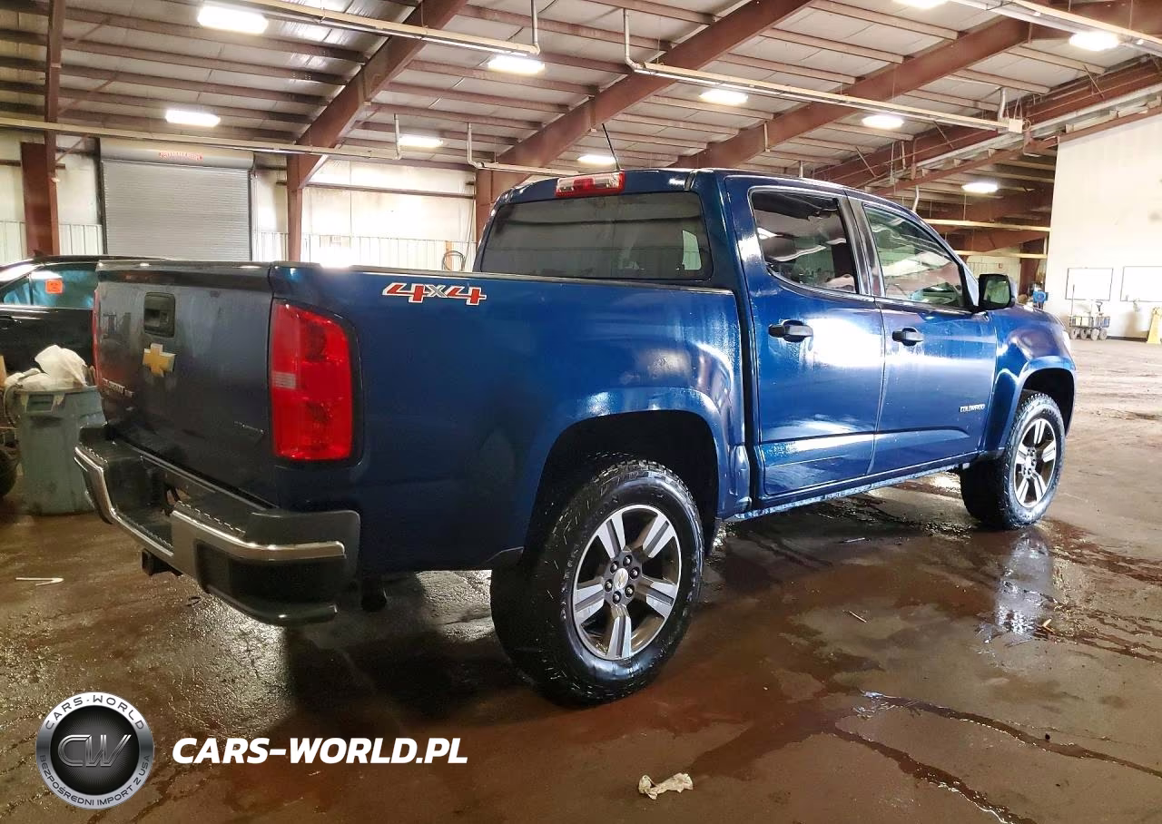 2019 Chevrolet Colorado VIN:1GCGTBEN2K1125956 - 3