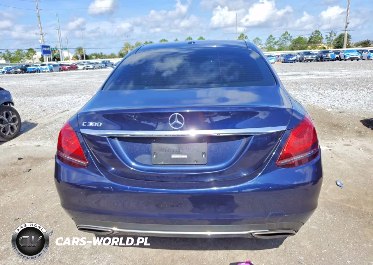 2019 Mercedes-Benz C 300 VIN:55SWF8DB1KU310566 - 6