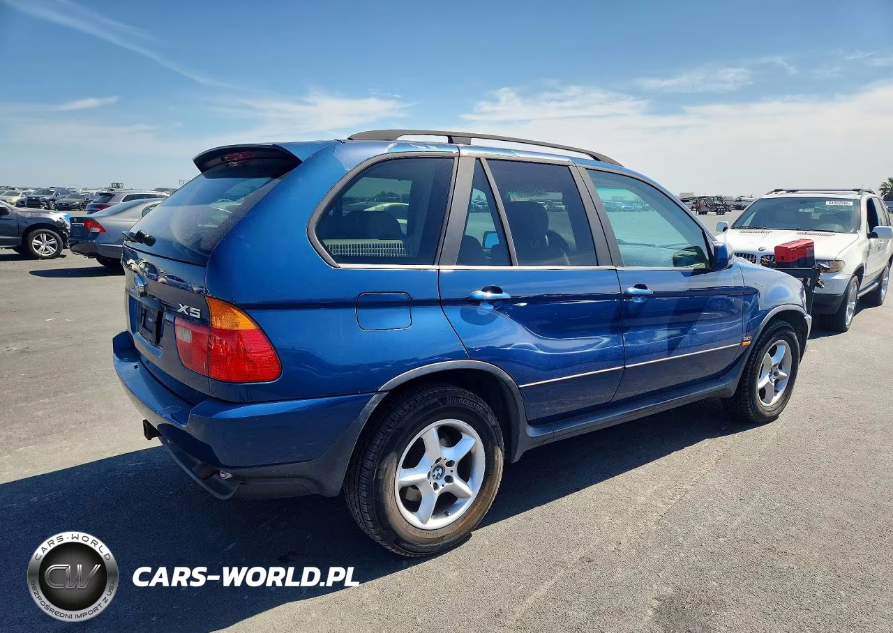 2002 BMW X5 3.0I VIN:5UXFA53532LP39519 - 3