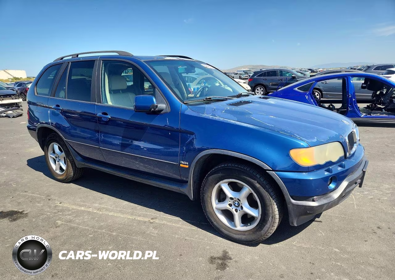 2002 BMW X5 3.0I VIN:5UXFA53532LP39519 - 4