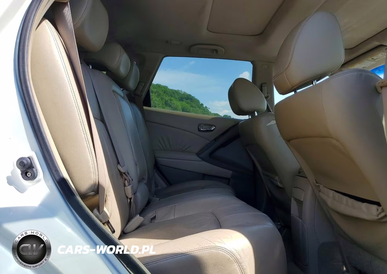 2010 Nissan Murano S VIN:JN8AZ1MW3AW122031 - 11