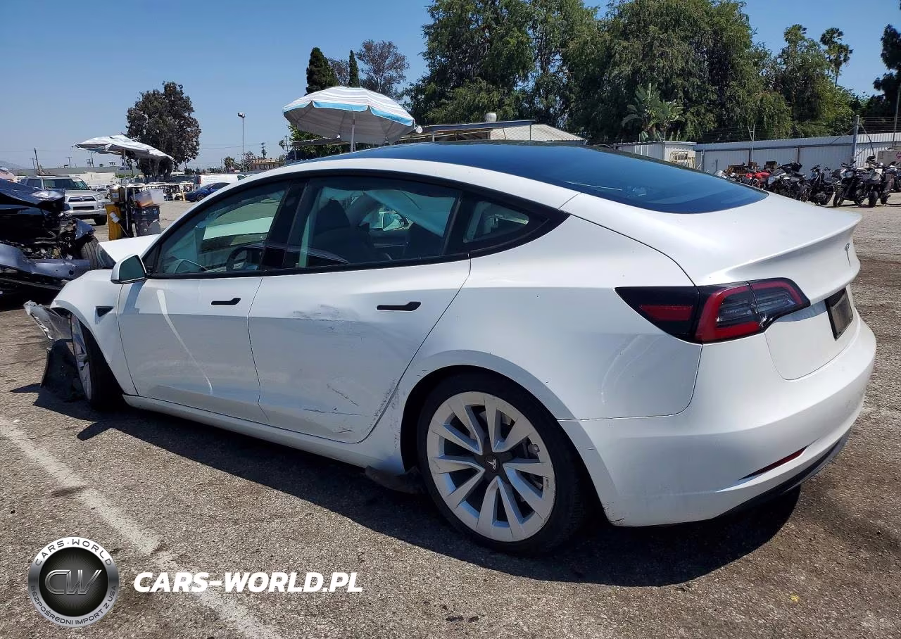 2023 Tesla Model 3 VIN:5YJ3E1EA7PF459334 - 2