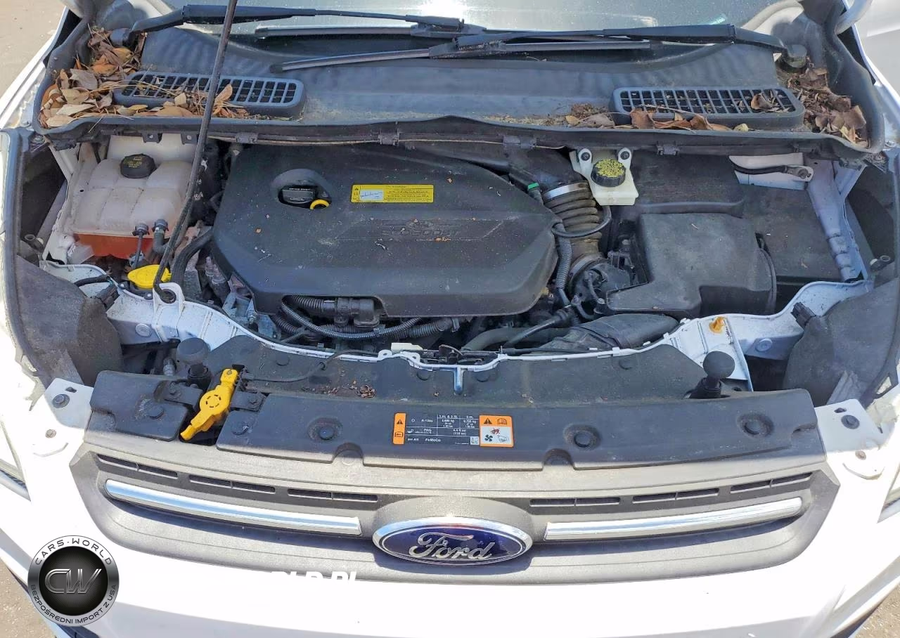 2014 Ford Escape Se VIN:1FMCU0GX9EUC02805 - 12