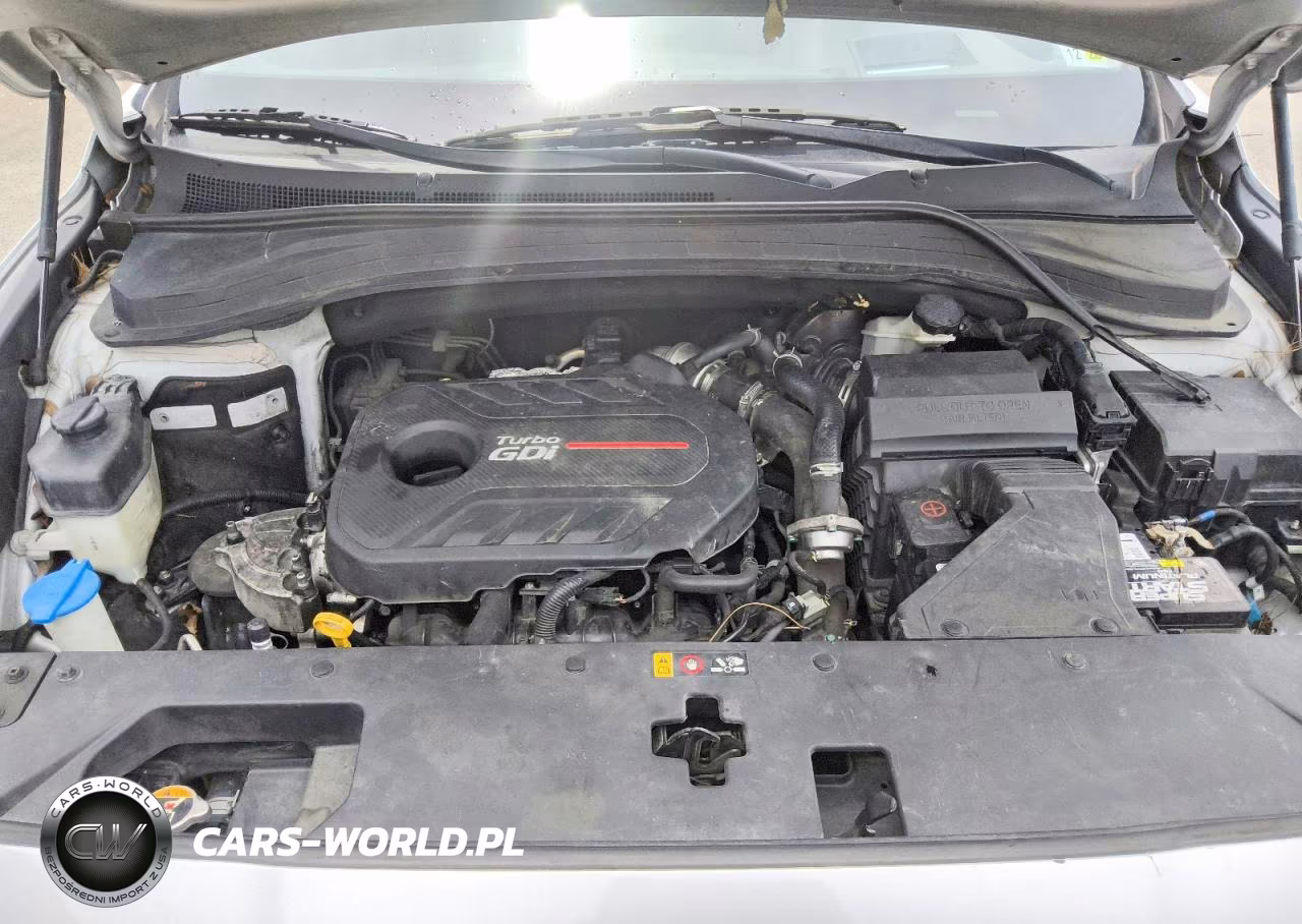 2019 Hyundai Santa Fe Ultimate 2.0T VIN:5NMS53AA2KH131338 - 12