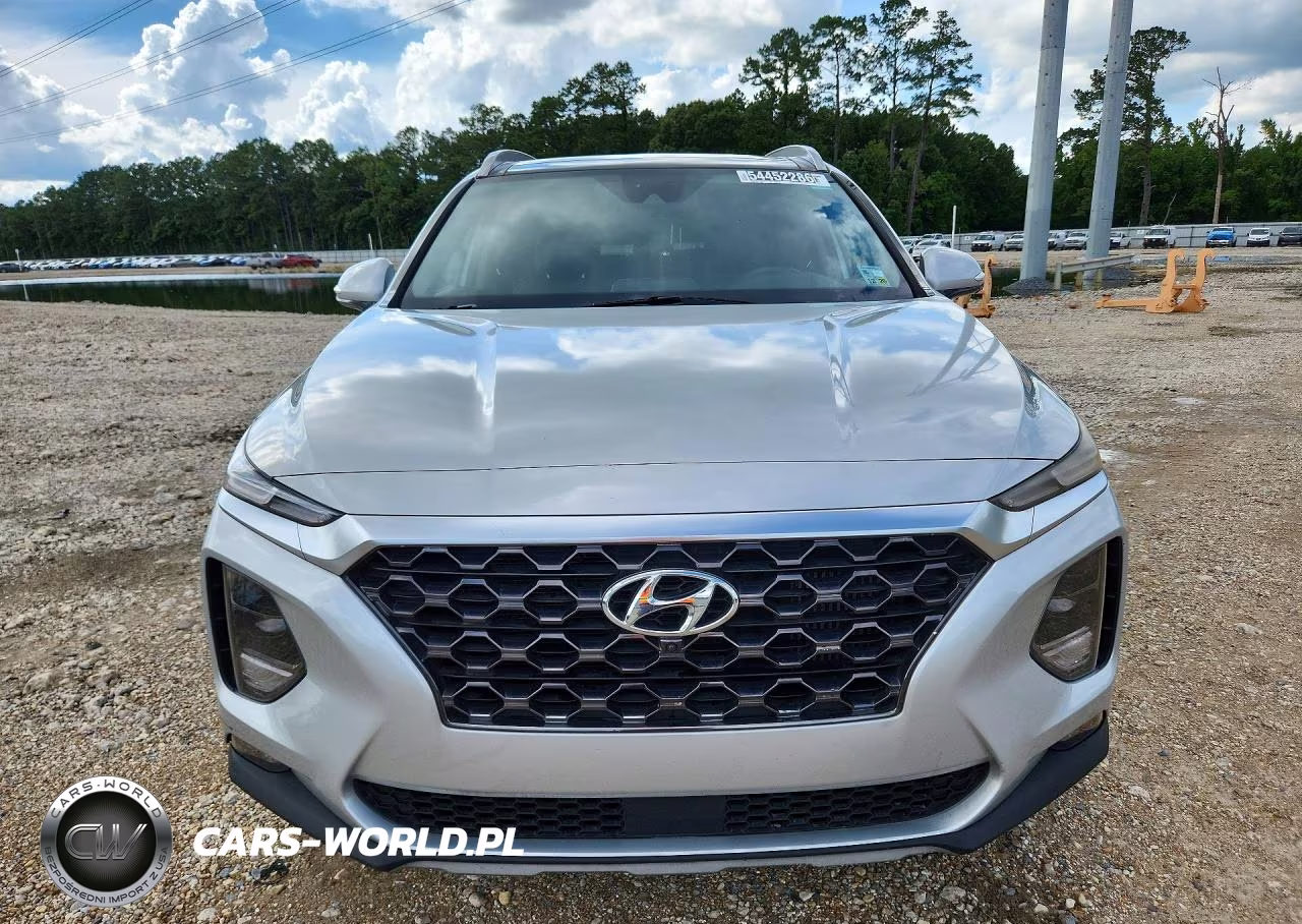 2019 Hyundai Santa Fe Ultimate 2.0T VIN:5NMS53AA2KH131338 - 5