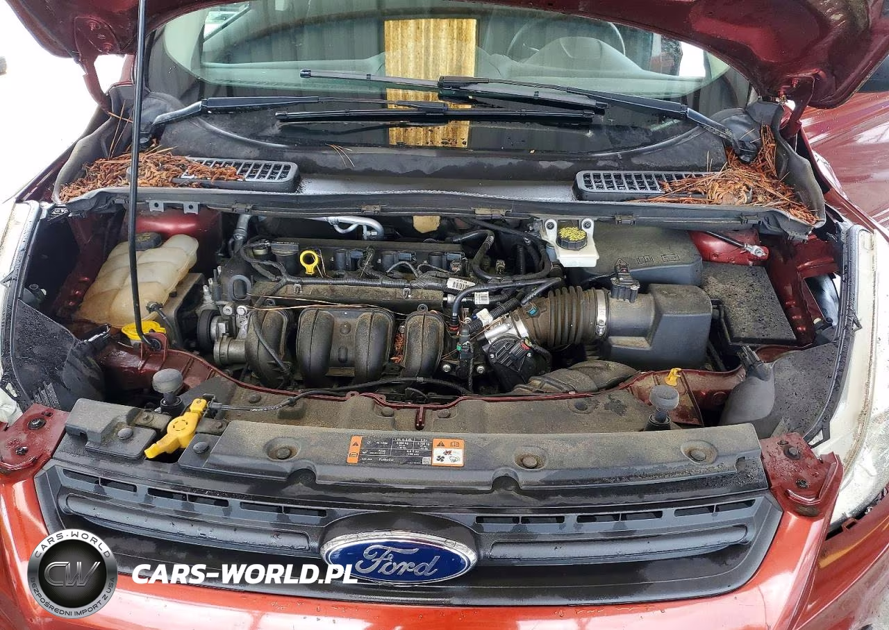 2016 Ford Escape S VIN:1FMCU0F78GUA37446 - 11