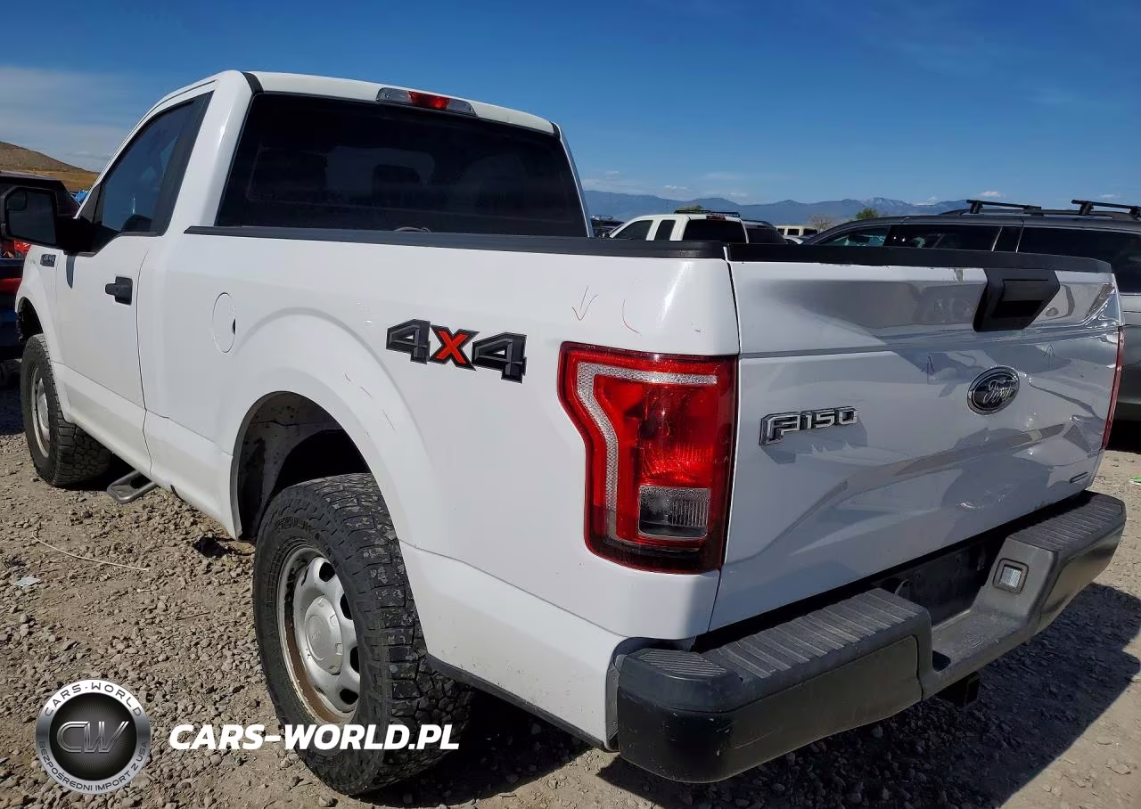 2016 Ford F150 VIN:1FTMF1E85GKF99318 - 2