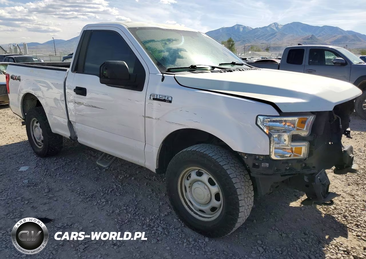2016 Ford F150 VIN:1FTMF1E85GKF99318 - 4