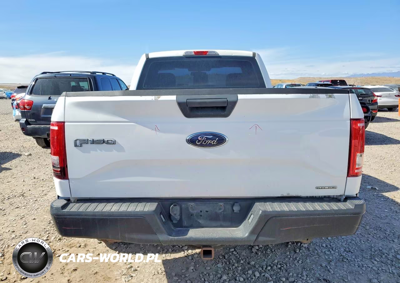 2016 Ford F150 VIN:1FTMF1E85GKF99318 - 6