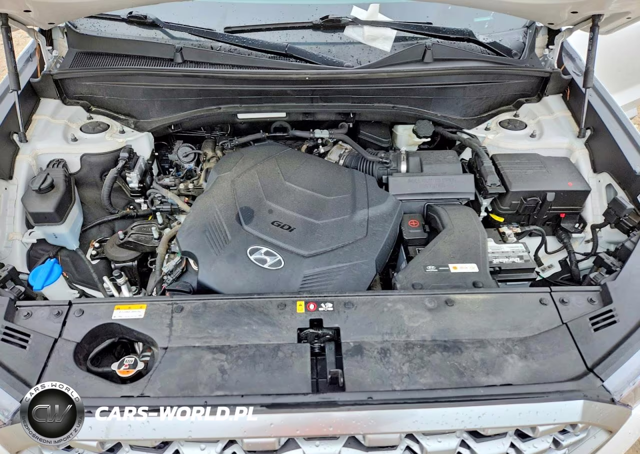2021 Hyundai Palisade Sel VIN:KM8R44HE3MU200643 - 11