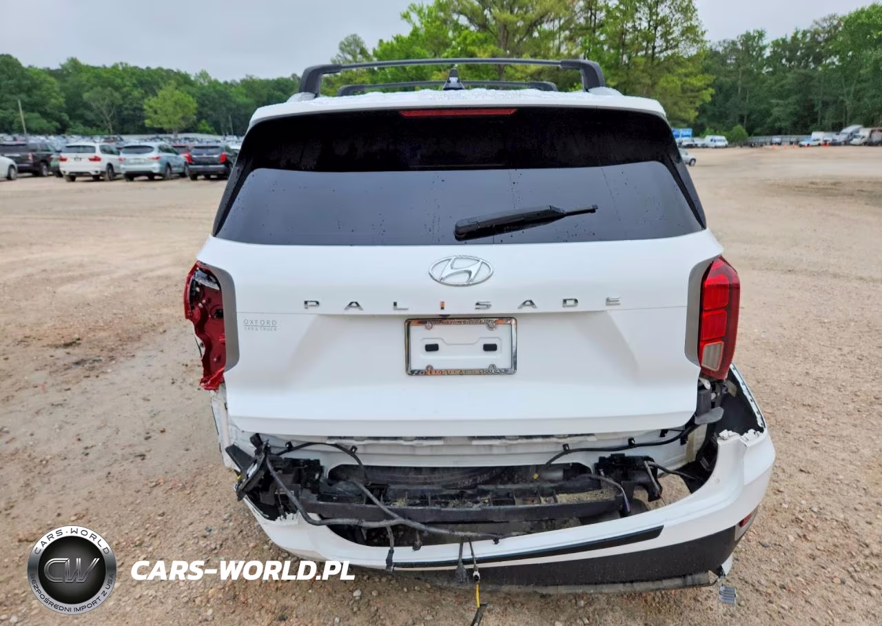 2021 Hyundai Palisade Sel VIN:KM8R44HE3MU200643 - 6